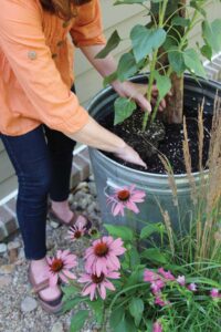 woman placing plant in to trash can filled with potting soil